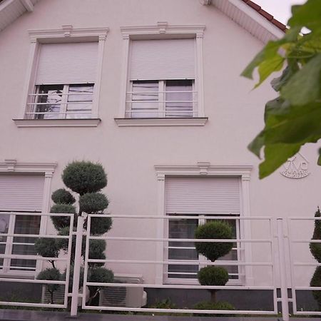 Vivo House Bed & Breakfast Targu Mures Luaran gambar